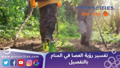 تفسير رؤية العصا في المنام بالتفصيل