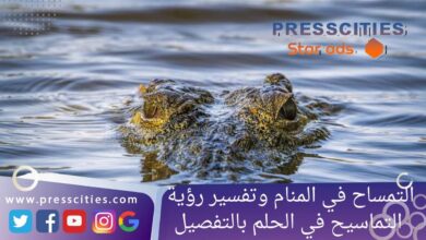 التمساح في المنام وتفسير رؤية التماسيح في الحلم بالتفصيل