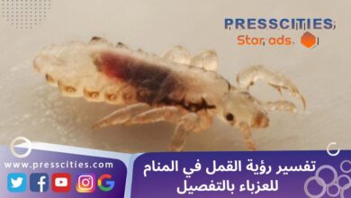 تفسير رؤية القمل في المنام للعزباء بالتفصيل