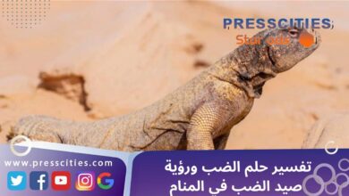 تفسير حلم الضب ورؤية صيد الضب في المنام