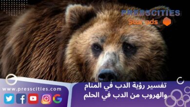 تفسير رؤية الدب في المنام والهروب من الدب في الحلم