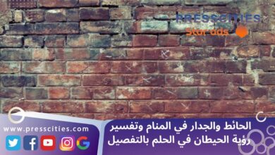 الحائط والجدار في المنام وتفسير رؤية الحيطان في الحلم بالتفصيل