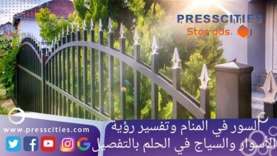 السور في المنام وتفسير رؤية الأسوار والسياج في الحلم بالتفصيل