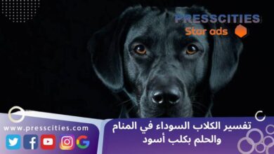 تفسير الكلاب السوداء في المنام والحلم بكلب أسود