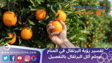 تفسير رؤية البرتقال في المنام وحلم أكل البرتقال بالتفصيل