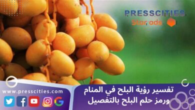 تفسير رؤية البلح في المنام ورمز حلم البلح بالتفصيل