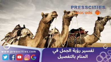 تفسير رؤية الجمل في المنام بالتفصيل