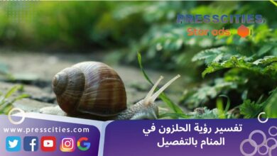 تفسير رؤية الحلزون في المنام بالتفصيل