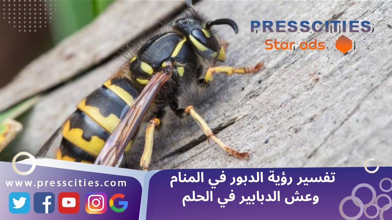 تفسير رؤية الدبور في المنام وعش الدبابير في الحلم