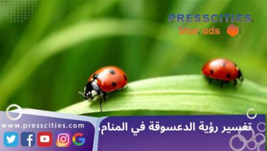 تفسير رؤية الدعسوقة في المنام