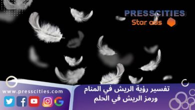 تفسير رؤية الريش في المنام ورمز الريش في الحلم