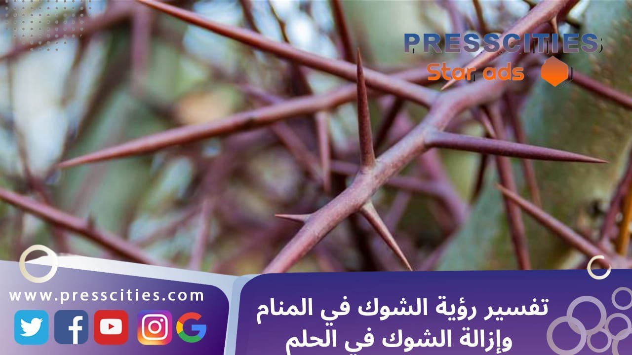 تفسير رؤية الشوك في المنام وإزالة الشوك في الحلم