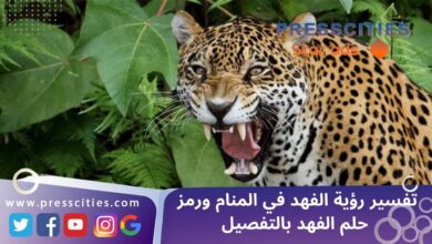 تفسير رؤية الفهد في المنام ورمز حلم الفهد بالتفصيل