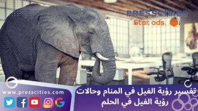تفسير رؤية الفيل في المنام وحالات رؤية الفيل في الحلم