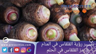 تفسير رؤية القلقاس في المنام ورمز القلقاس في الحلم