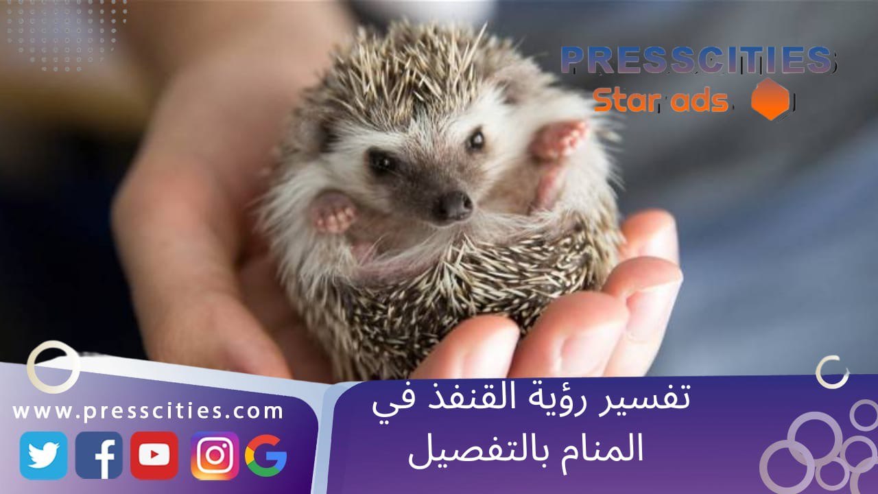 تفسير رؤية القنفذ في المنام بالتفصيل