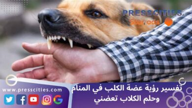 تفسير رؤية عضة الكلب في المنام وحلم الكلاب تعضني