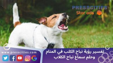 تفسير رؤية نباح الكلب في المنام وحلم سماع نباح الكلاب