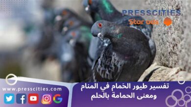 تفسير طيور الحَمام في المنام ومعنى الحمامة بالحلم