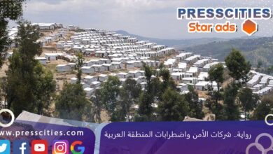 رواية.. شركات الأمن واضطرابات المنطقة العربية