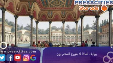 رواية.. لماذا لا يتزوج المصريون