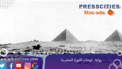رواية.. لوحات الثورة المصرية