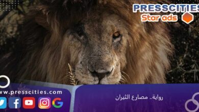 رواية.. مصارع الثيران
