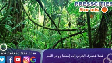 قصة قصيرة.. الطريق إلى إسبانيا ووحي القلم