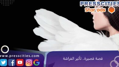 قصة قصيرة.. تأثير الفراشة