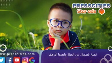 قصة قصيرة.. عن الحياة ولغزها الأرهف