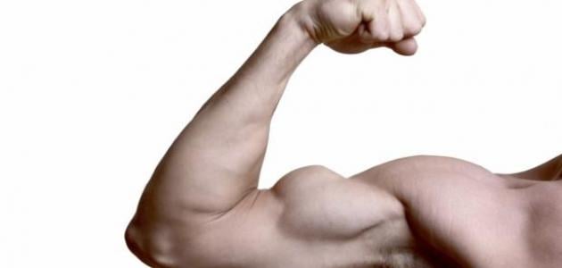 تقوية عضلات اليد