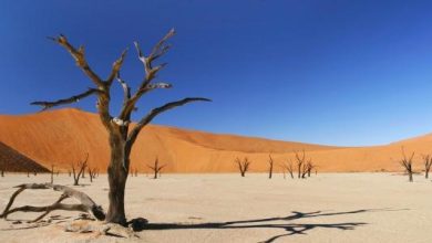 تعريف الجفاف