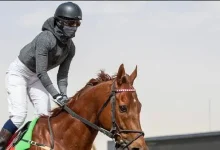 ركوب الخيل