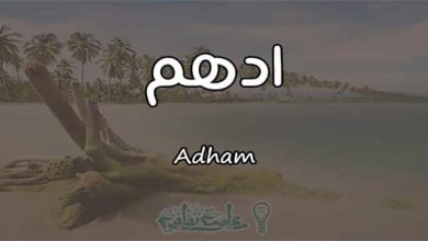تفسير اسم أدهم